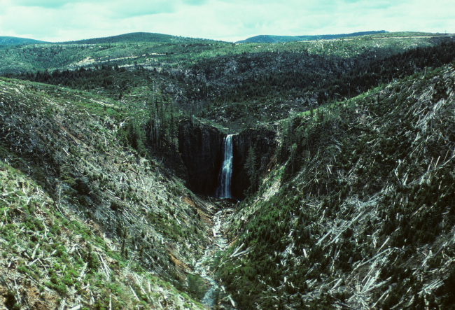 Warnicke Creek Falls