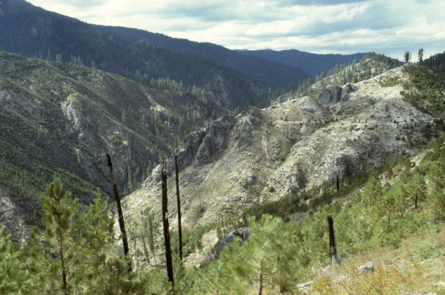 Poverty Burn area of the South Fork of the Salmon River
