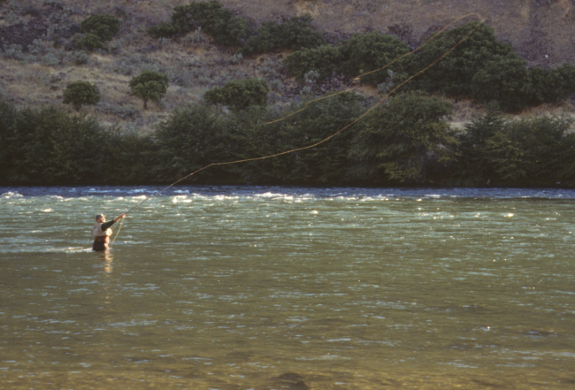 Sport fisherman in a NW salmon stream