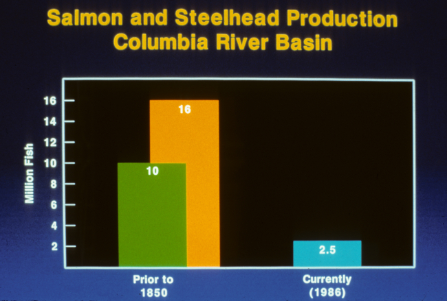 Graphic showing the decimation of the salmonid population between 1850 and 1986in the Columbia River Basin