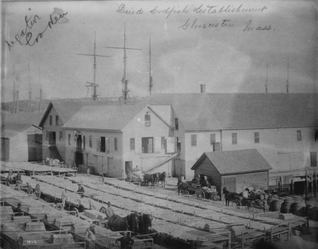 Dried codfish establishment, Gloucester, MA