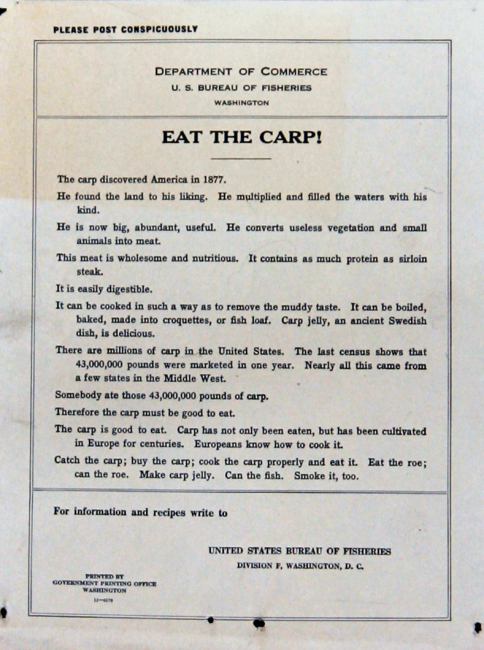 Poster, broadside, Eat the Carp!