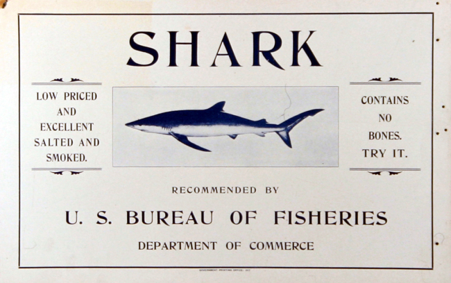 Poster, broadside, Shark