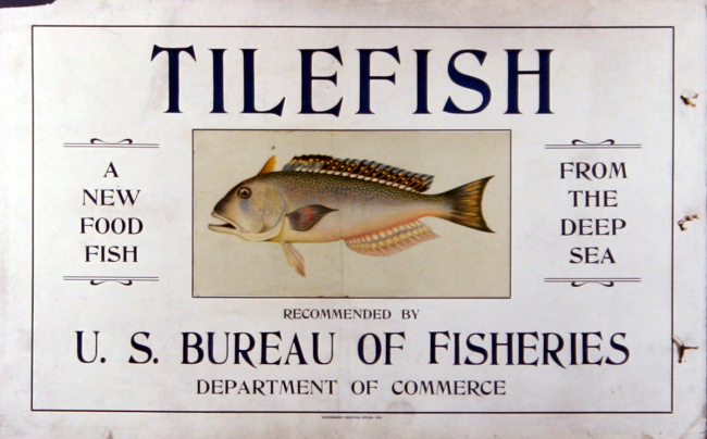 Poster, broadside, Tilefish