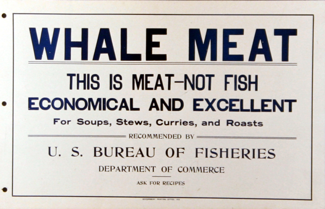 Poster, broadside, Whale Meat