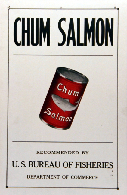 Poster, broadside, Chum Salmon