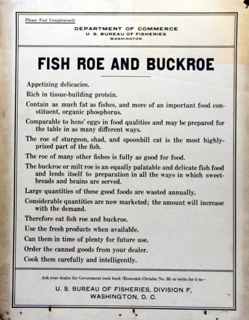 Poster, broadside, Fish Roe and Buckroe