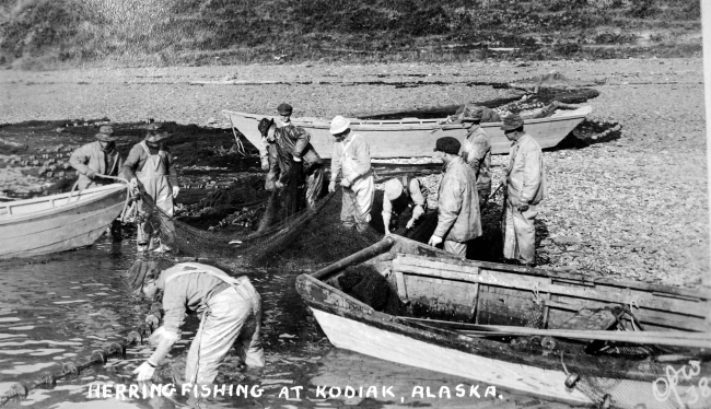 Herring fishing at Kodiak, Alaska