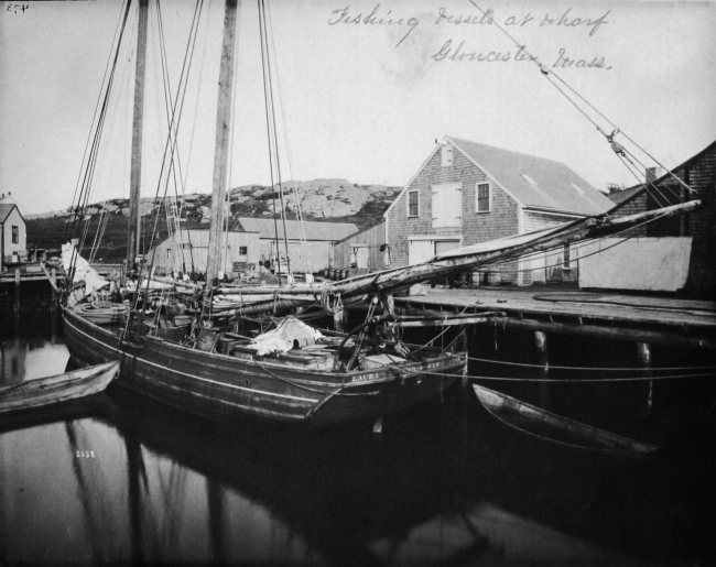Fishing vessels at wharf, Gloucester, MA