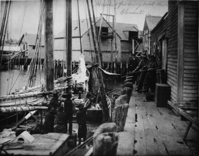 Halibut fishing boat discharging, Gloucester, MA