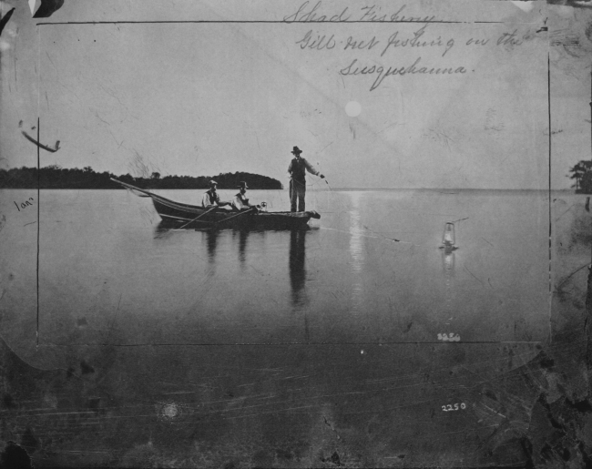 Shad fishery, gill net fishing on the Susquehanna River, PA/MD (with lantern)