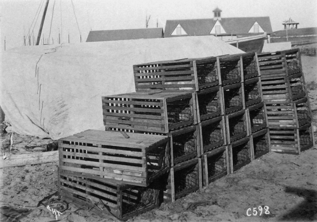 Lobster pots, Block Island, 1899