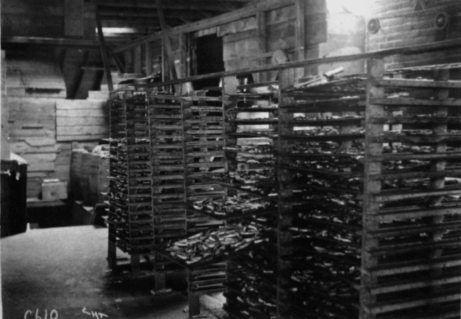 Cooling room, sardine cannery, Southwest Harbor, ME, 1899