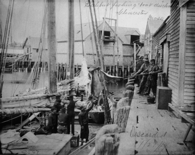 Halibut fishing boat discharging, Gloucester, MA