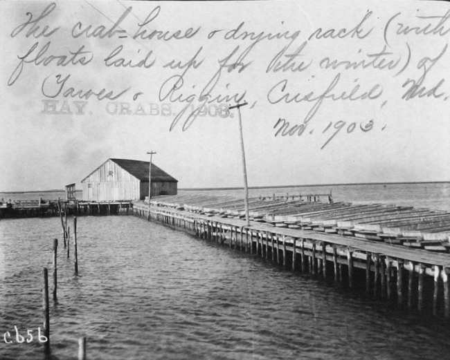 The crab house and drying rack (with floats laid up for the winter)