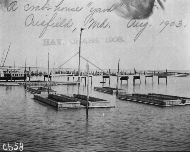 A crab-house yard, Crisfield, MD, Aug