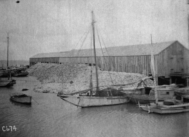 Oyster shucking houses showing available for oyster culture