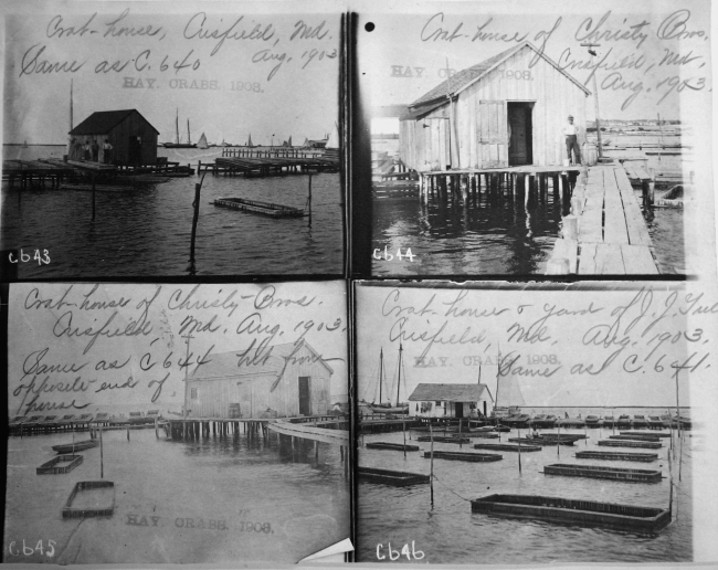 Crab houses and yard of Crisfield, MD, Aug