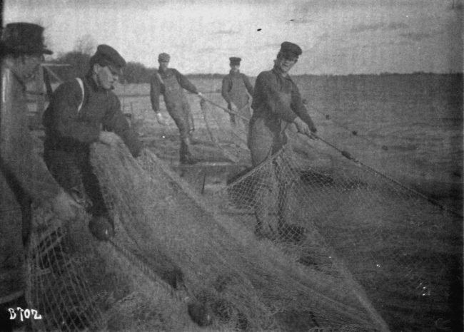 Hauling whitefish seine Detroit River