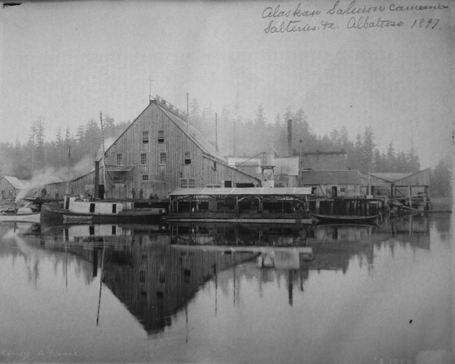 Alaskan salmon canneries, salteries, etc