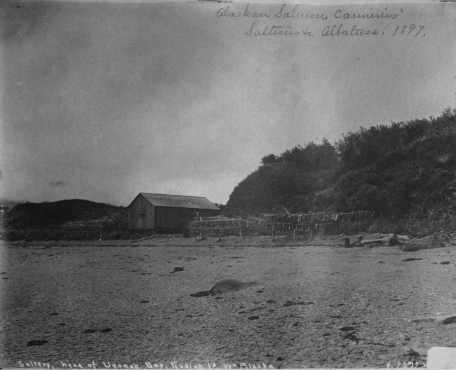 Saltery, head of Uganuk Bay, Kodiak Island, AK