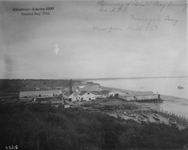 Albatross, AK, 1900, Bristol Bay district, Cannery of Bristol Bay Canning Co