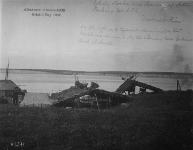 Albatross, AK, 1900, Bristol Bay district, Ukala Rocks near cannery of A