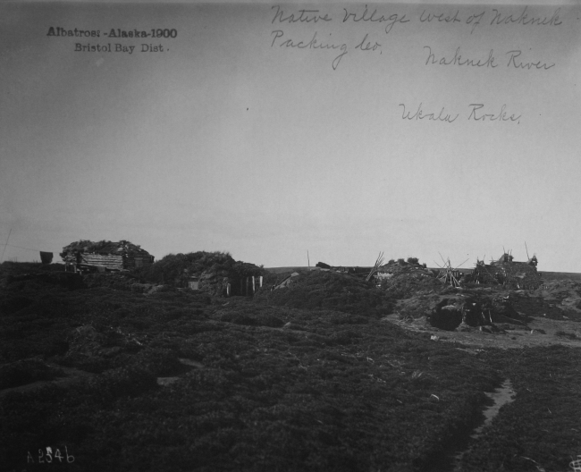 Albatross, AK, 1900, Bristol Bay district, native village west of NaknekPacking Co