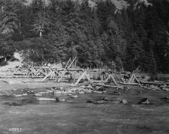 Chilkoot stream showing native fish runs and traps in current, southeast, AK