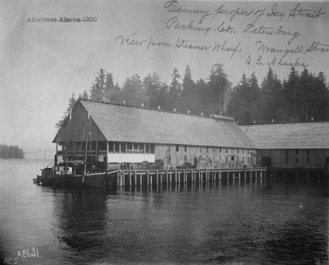 Albatross, AK, 1900, cannery of Icy Strait Packing Co