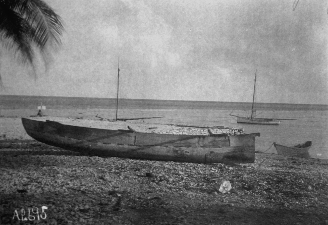 South Seas cruise, Albatross, 1899-1900, Paumotu Archipelago, MakerusAtoll, built up dugout canoe, Hepuhepuarua