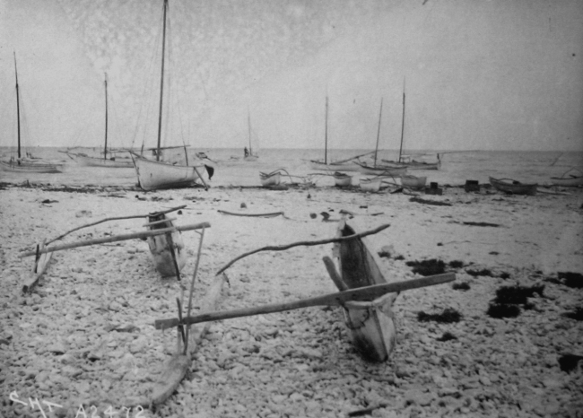 Pearl fisheries, Albatross, South Seas, 1900, pearl diving vessels