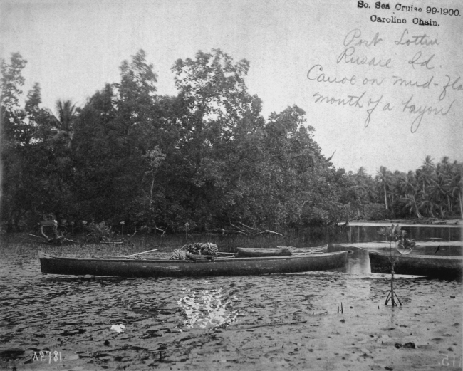 South Sea cruise 99-1900, Caroline Chain, Port Lottin, Kusaie Island,canoe on mud-flat mouth of a bayou