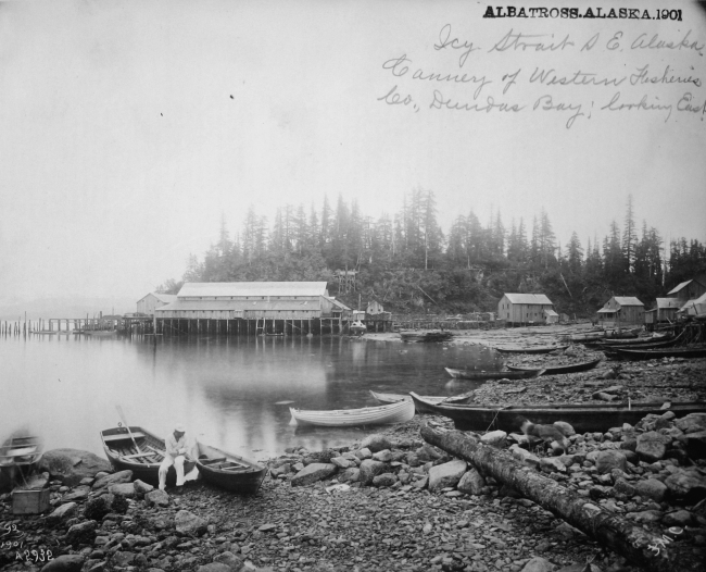 Albatross, AK, 1901, Icy Strait, southeast Alaska, cannery ofWestern Fisheries Cannery Co