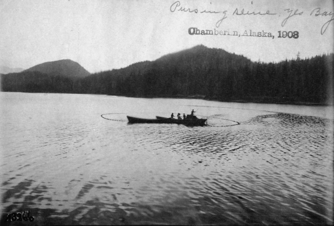 Chamberlin, AK, 1903, pursing seine