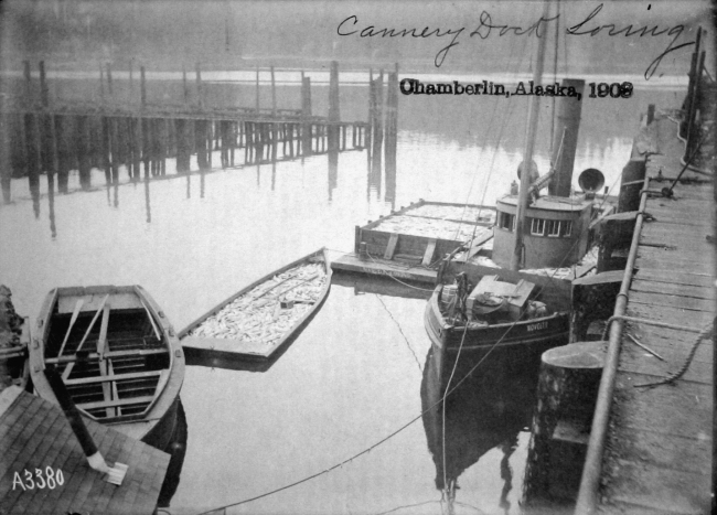 Chamberlin, AK, 1903, cannery dock Loring