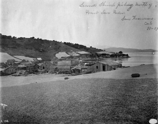 Second shrimp fishing north of Point San Pedro, San Francisco, CA, 1888-89