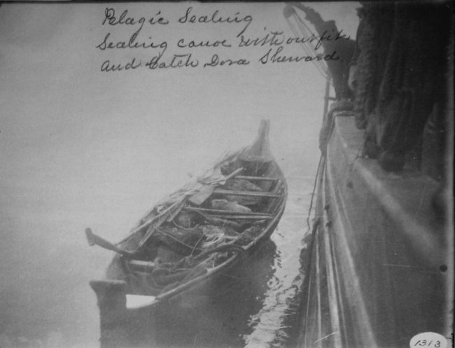Pelagic sealing, sealing canoe with outfit and catch Dora Sherward