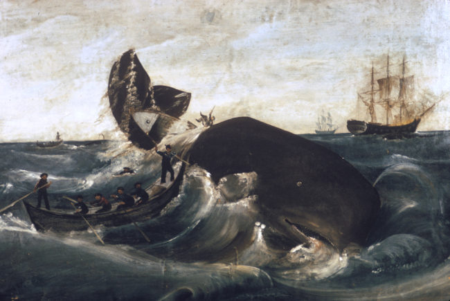Capturing a sperm whale, third quarter, 19th century