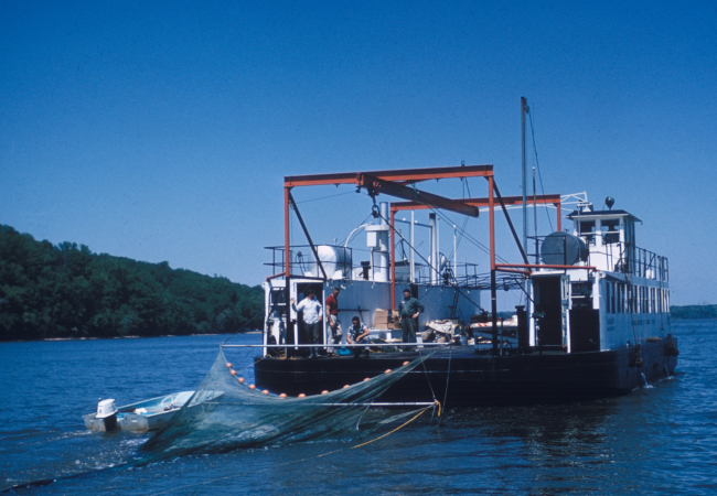 A converted ferryboat is used in the Potomac River by the Virginia Institute ofMarine Science to test the efficiency of a midwater trawl in catching alewivesas they migrate upstream to spawn