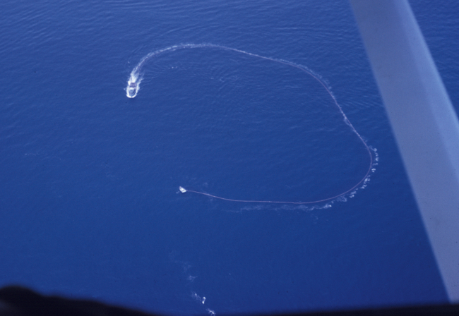 Aerial view of a purse seiner encircling a school of tuna