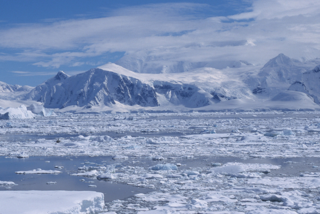 The icy coastal Antarctic