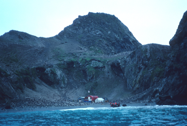 The Seal Island field camp in 1992