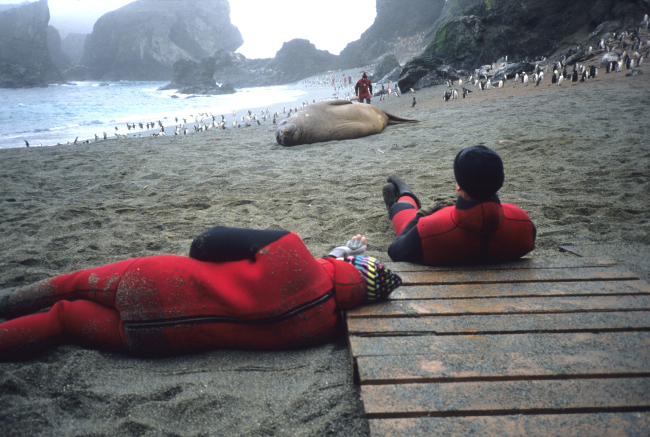 Relaxing at the Seal Island field camp with a female southern elephant seal
