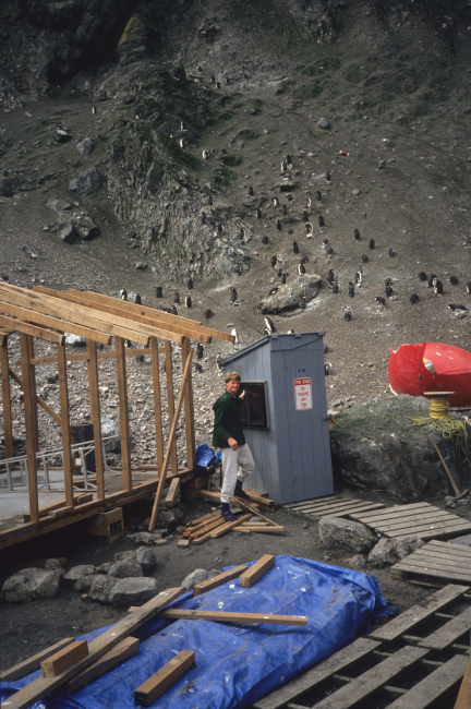 Scientists were building their camp at the Seal Island field station whenthis photo was taken in 1991
