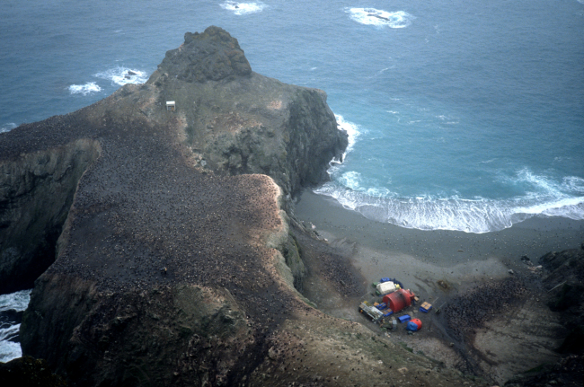 A penguin colony overlooking the AMLR field station at Seal Island