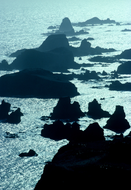 The volcanic origins of the South Shetland Islands are evident in theserocky, inshore formations
