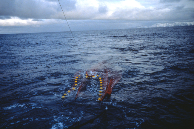 The trawl net deployed from the R/V YUZHMORGEOLOGIYA