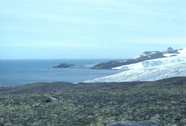 A glacier meets the sea, South Shetland Islands