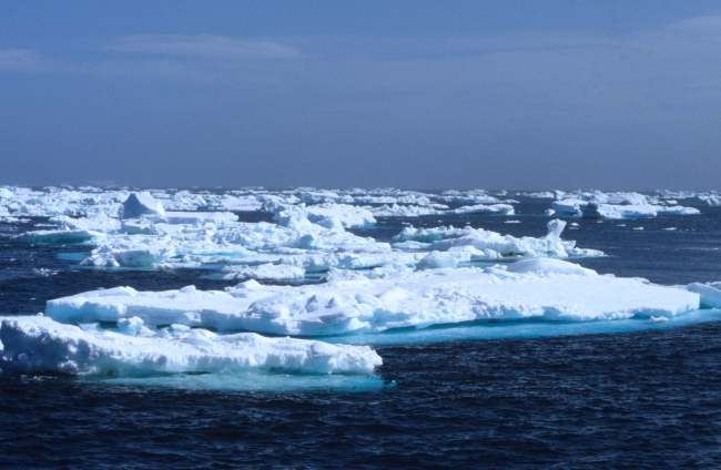 Floating ice in the Southern Ocean